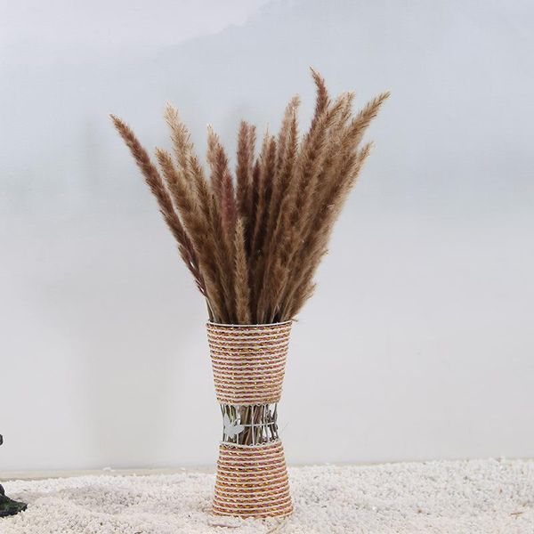 reed dried flower home wedding decoration preserved fresh flower bouquet pgraphy filming props large reed pampas grass dried
reed dried flower home wedding decoration preserved fresh flower bouquet pgraphy filming props large reed pampas grass dried