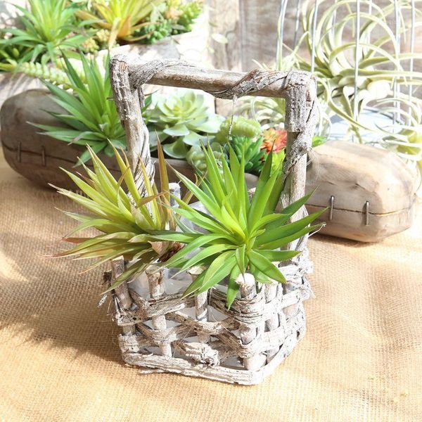 decorative flowers & wreaths cactus pine needle succulent plant artificial fleshiness lifelike microlandschaft flower home balcony decoratio
decorative flowers & wreaths cactus pine needle succulent plant artificial fleshiness lifelike microlandschaft flower home balcony decoratio
