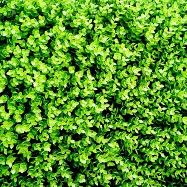 decorative flowers & wreaths synthetic grass eucalyptus ultra-dense plastic fake lawn artificial garden decor mini micro landscape accessori
decorative flowers & wreaths synthetic grass eucalyptus ultra-dense plastic fake lawn artificial garden decor mini micro landscape accessori