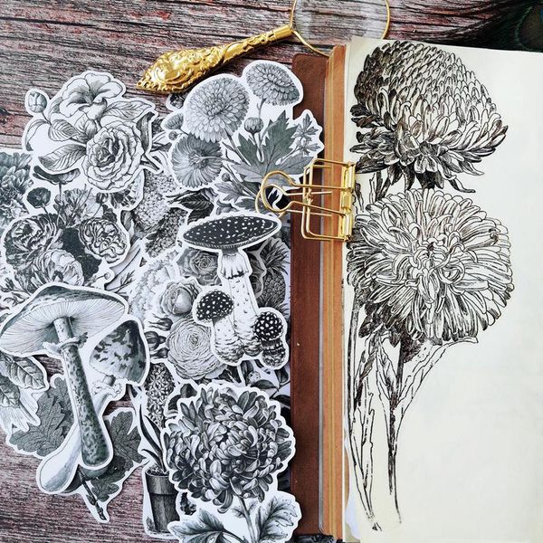 gift wrap black plants musuroom stickers scrapbooking decorative journal happy planner sticker diy craft po card make
gift wrap black plants musuroom stickers scrapbooking decorative journal happy planner sticker diy craft po card make