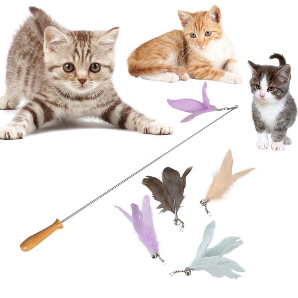 5pcs/set retractable feather teaser rod stick for cat kitten toy replacement heads pet cat interactive toy product 31
5pcs/set retractable feather teaser rod stick for cat kitten toy replacement heads pet cat interactive toy product 31