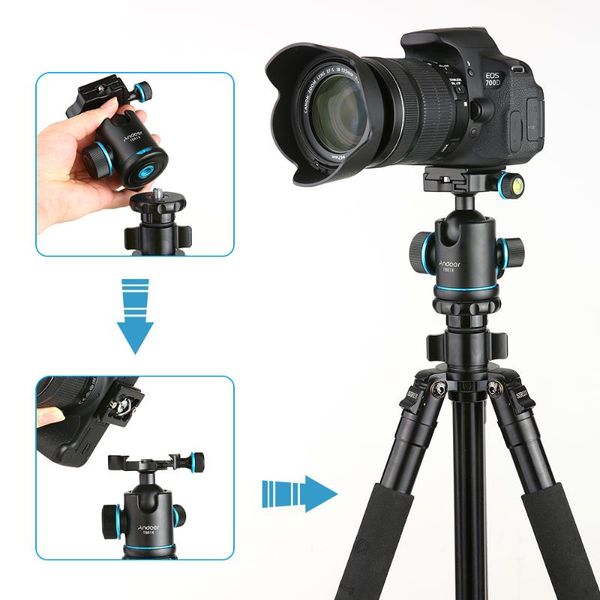 tripod heads andoer tb81x ball 360 degree ballhead for monopod slider dslr camera with 3pcs 1/4" to 3/8" srew adapters
tripod heads andoer tb81x ball 360 degree ballhead for monopod slider dslr camera with 3pcs 1/4" to 3/8" srew adapters