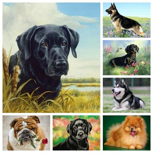 evershine dog paint with diamond full square cross stitch diamond embroidery animals bead picture kits handwork art gift
evershine dog paint with diamond full square cross stitch diamond embroidery animals bead picture kits handwork art gift