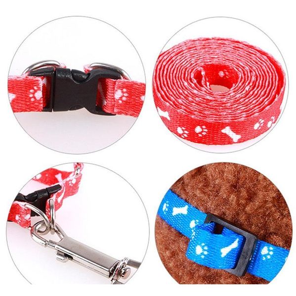 adjustable cat dog collar leash dog pet lead harness chest back belt traction rope pet supplies puppy walking p jllcia garden_light
adjustable cat dog collar leash dog pet lead harness chest back belt traction rope pet supplies puppy walking p jllcia garden_light