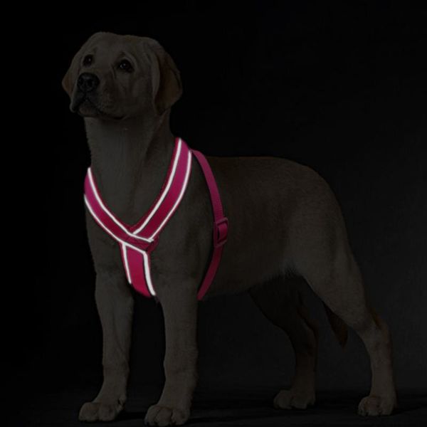 nylon reflective soft mesh padded dog harness vest for medium large dog pitbull adjustable s m l xl 3 colors pi sqcpcb
nylon reflective soft mesh padded dog harness vest for medium large dog pitbull adjustable s m l xl 3 colors pi sqcpcb