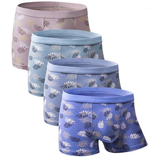 4pcs men underwear mens boxer shorts soft modal boxers fashion men trunks comfortable underpants1, Black;white
4pcs men underwear mens boxer shorts soft modal boxers fashion men trunks comfortable underpants1, Black;white