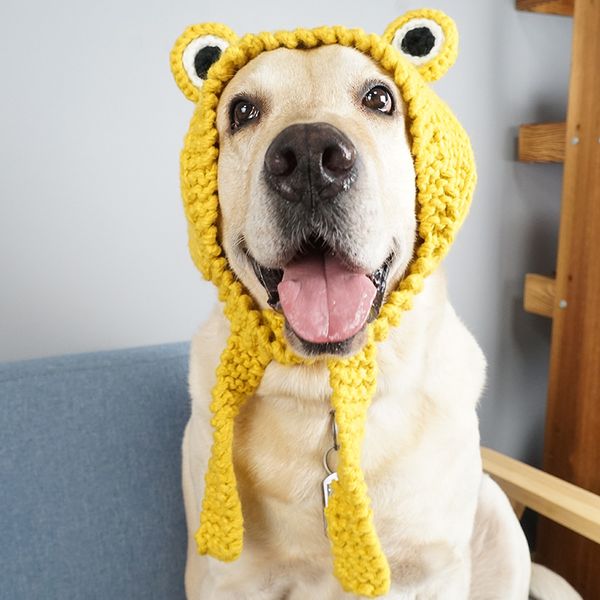 funny dog cat frog hat cute pet dog costume warm knitting wool pet hats green yellow dogs cap birthday gift for pet
funny dog cat frog hat cute pet dog costume warm knitting wool pet hats green yellow dogs cap birthday gift for pet