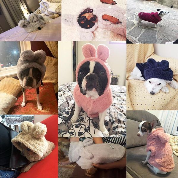 cute dog hoodie winter pet dog clothes for dogs coat jacket cotton ropa perro french bulldog clothing for dogs pets clothing pug
cute dog hoodie winter pet dog clothes for dogs coat jacket cotton ropa perro french bulldog clothing for dogs pets clothing pug