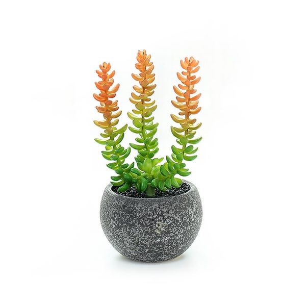 decorative flowers & wreaths artificial succulent plants bonsai fake flower vase faux succulents pottery pot garden greenery home balcony de
decorative flowers & wreaths artificial succulent plants bonsai fake flower vase faux succulents pottery pot garden greenery home balcony de