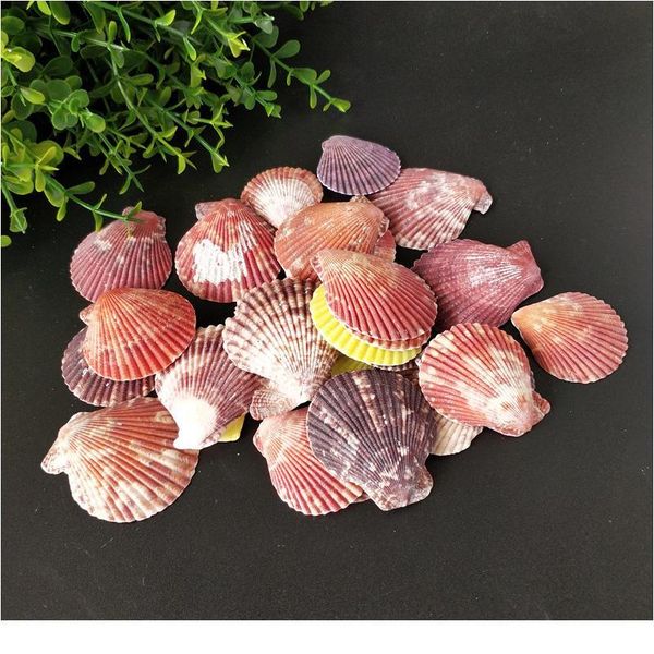30pcs colorful natural seashells decorations scallop shells crafts decor ornament colorful shells sea star f qylznj
30pcs colorful natural seashells decorations scallop shells crafts decor ornament colorful shells sea star f qylznj