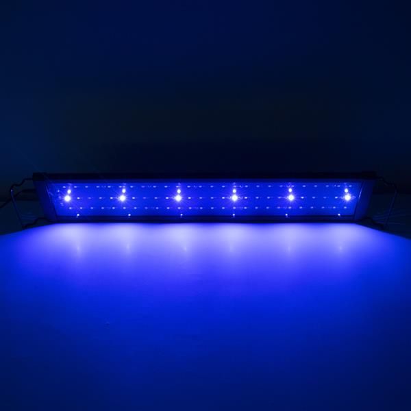 18w 78led full spectrum water grass lamp 23.6inch black us standard zc001220 indoor (suitable for 23.6-31.49inch long aquarium)
18w 78led full spectrum water grass lamp 23.6inch black us standard zc001220 indoor (suitable for 23.6-31.49inch long aquarium)