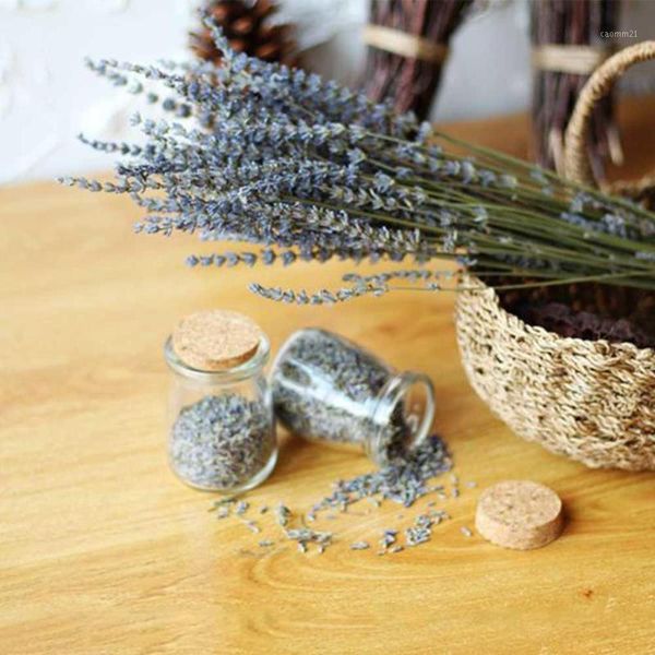 1 bunches provence natural lavender flower dried flowers romantic immortal dry flower bouquet wedding party home decoration1
1 bunches provence natural lavender flower dried flowers romantic immortal dry flower bouquet wedding party home decoration1