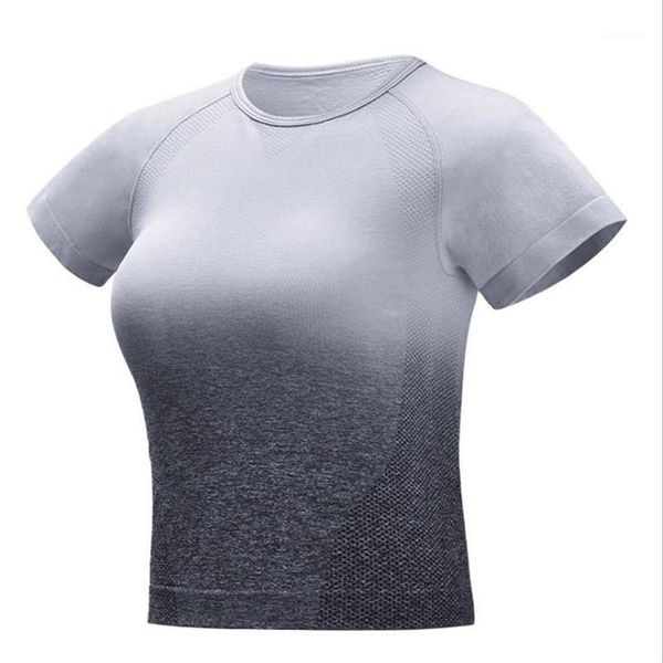 yoga outfits summer women's t-shirt trends gradient fitness short sleeve sports shirt gym womens workout shirts1, White;red
yoga outfits summer women's t-shirt trends gradient fitness short sleeve sports shirt gym womens workout shirts1, White;red