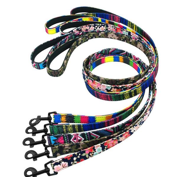 5 colors pet dog leash lead puppy dog walking running training rope leashes rainbow leads for small medium large dogs st sqcigb
5 colors pet dog leash lead puppy dog walking running training rope leashes rainbow leads for small medium large dogs st sqcigb