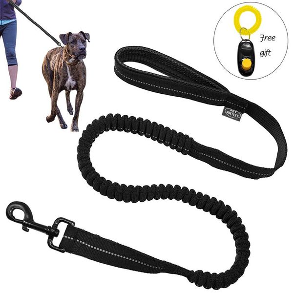 reflective stitching bungee dog leash elastic dog walkingtraining lead with clicker black reflective s sqcwsf
reflective stitching bungee dog leash elastic dog walkingtraining lead with clicker black reflective s sqcwsf
