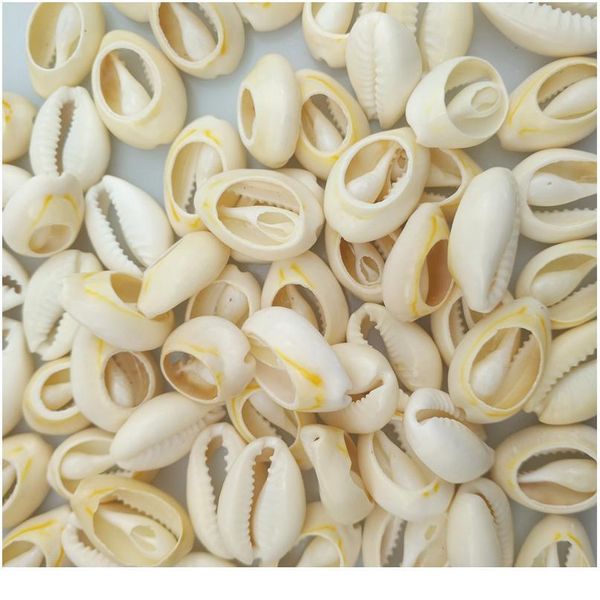 happykiss 500g yellow natural sea shells loose beads accessories diy conch ornament home fish tank decor phnom pe jllxuq
happykiss 500g yellow natural sea shells loose beads accessories diy conch ornament home fish tank decor phnom pe jllxuq