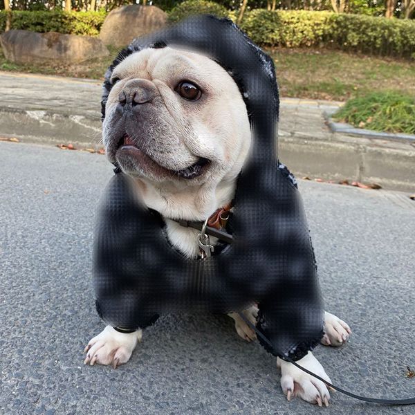 winter warm designer pets jackets fashion letter jacquard bulldog coats indoor warm personality charm teddy hoodies
winter warm designer pets jackets fashion letter jacquard bulldog coats indoor warm personality charm teddy hoodies