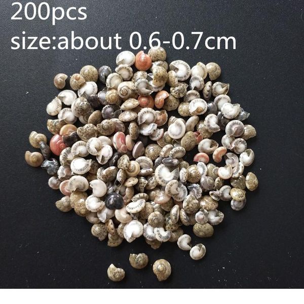 happykiss lot of funny mixed sea shells shell craft aquarium nautical decor ornaments natural mini conch medit jllzbv 
happykiss lot of funny mixed sea shells shell craft aquarium nautical decor ornaments natural mini conch medit jllzbv