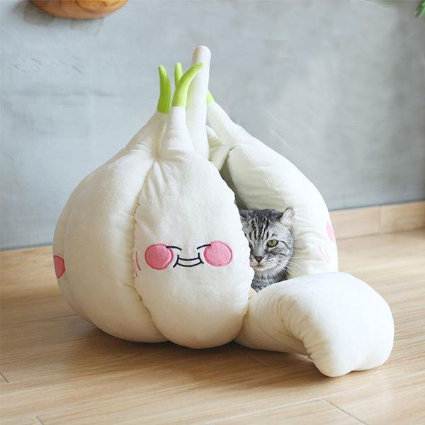funny garlic cat bed mat soft warm pet cat house soothing bed for dog sitting home puppy sleeping plush nest cave
funny garlic cat bed mat soft warm pet cat house soothing bed for dog sitting home puppy sleeping plush nest cave
