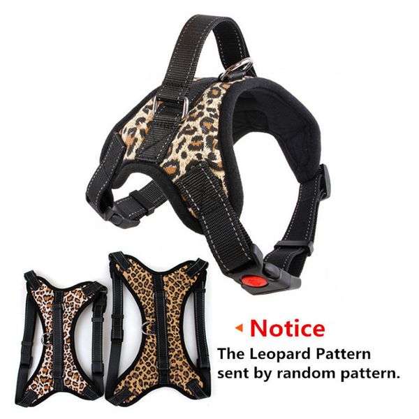 sport 11colors pet vest harness collar outdoor no pull adjustable dog chest supplies ffa285 30pcs
sport 11colors pet vest harness collar outdoor no pull adjustable dog chest supplies ffa285 30pcs