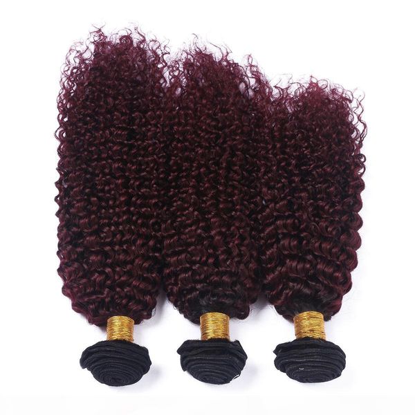 black and burgundy ombre indian virgin hair weave bundles 3pcs kinky curly hair weft extensions #1b 99j wine red ombre human hair weaves, Black;brown
black and burgundy ombre indian virgin hair weave bundles 3pcs kinky curly hair weft extensions #1b 99j wine red ombre human hair weaves, Black;brown