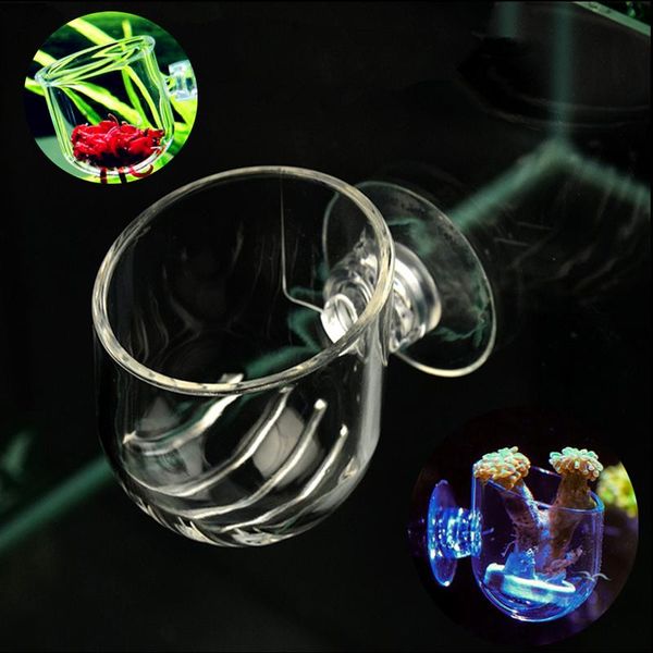 decorations aquarium mini acrylic red worm fish feeding cup tank decoration water grass plant coral anemone landscaping pot
decorations aquarium mini acrylic red worm fish feeding cup tank decoration water grass plant coral anemone landscaping pot