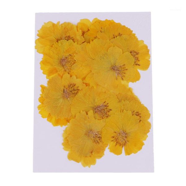 decorative flowers & wreaths 20pcs pressed coreopsis real dried flower scrapbooking embellishment yellow1
decorative flowers & wreaths 20pcs pressed coreopsis real dried flower scrapbooking embellishment yellow1