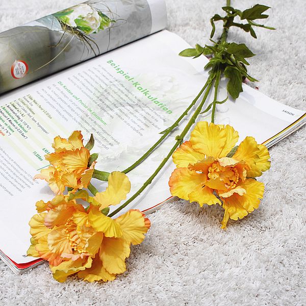 diy simulation flower single branch manual popular flowers high grade fashion home furnishing decorate selling 3 7hz j1
diy simulation flower single branch manual popular flowers high grade fashion home furnishing decorate selling 3 7hz j1