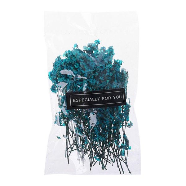1 bag real pressed dried flowers floral plants embellishments for diy scrapbooking card making art craft decoration m2ef
1 bag real pressed dried flowers floral plants embellishments for diy scrapbooking card making art craft decoration m2ef