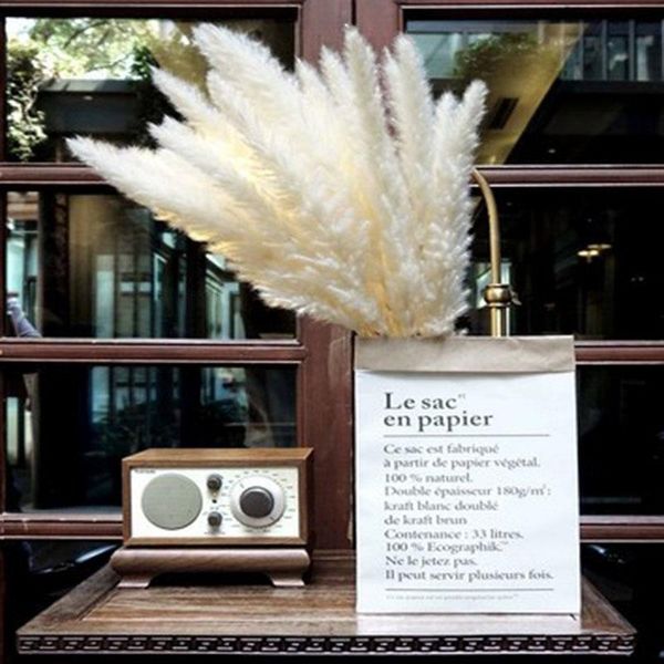 white pampas grass decorative dried plants dried natural flowers bulrush wedding flower bunch natural phragmites communis fall
white pampas grass decorative dried plants dried natural flowers bulrush wedding flower bunch natural phragmites communis fall