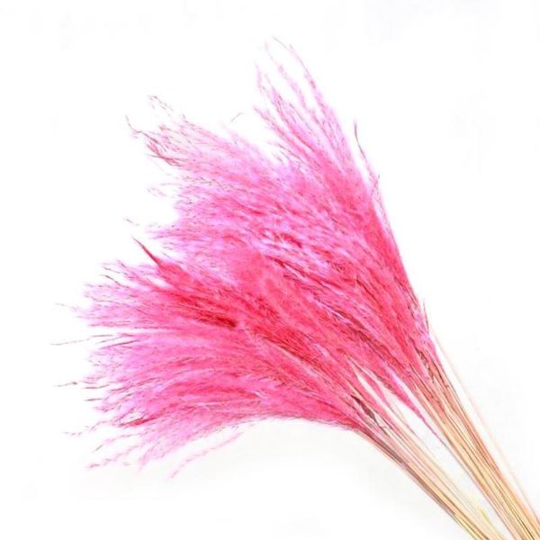 decorative flowers & wreaths 55cm natural dried flower reed branch grass plant home party daisy decor diy wedding whisk z4r3
decorative flowers & wreaths 55cm natural dried flower reed branch grass plant home party daisy decor diy wedding whisk z4r3