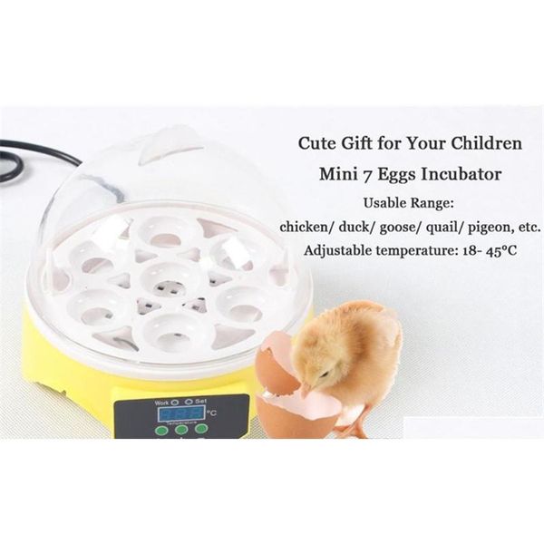 mini 7 egg incubator poultry incubator brooder digital temperature hatchery machine hatcher for chicke qylkka bdesports 
mini 7 egg incubator poultry incubator brooder digital temperature hatchery machine hatcher for chicke qylkka bdesports