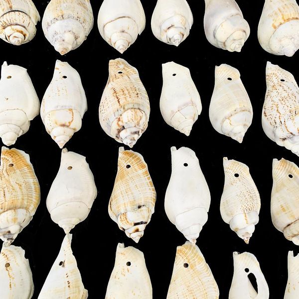 5 шт. натуральная улитка оболочка phoenix conch nuchtical decor diy ювелирные изделия подвески образец ремесла домашний декор аквариум ландш
5 шт. натуральная улитка оболочка phoenix conch nuchtical decor diy ювелирные изделия подвески образец ремесла домашний декор аквариум ландш