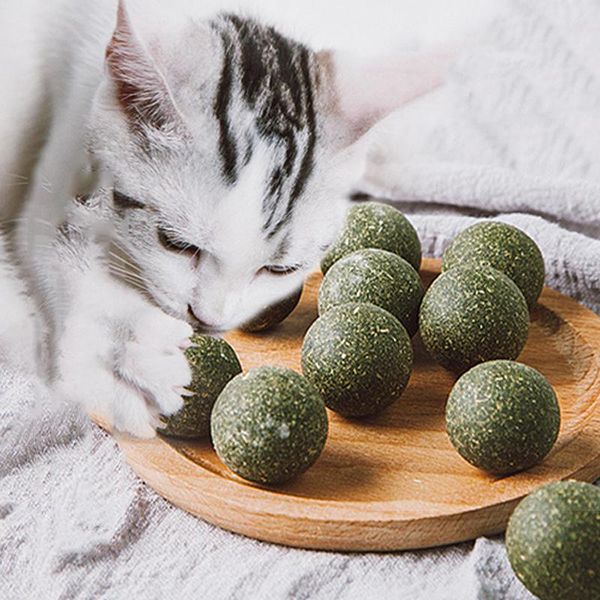 cat toys 1pcs natural catnip toy ball treat balls edible treating cleaning teeth improving wool rotating
cat toys 1pcs natural catnip toy ball treat balls edible treating cleaning teeth improving wool rotating