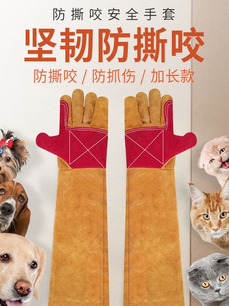 pet artifact dog training gloves cat scissors nail hamster anti scratch bite thickened long and durable
pet artifact dog training gloves cat scissors nail hamster anti scratch bite thickened long and durable