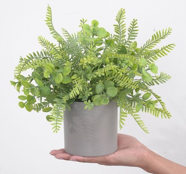 simulation eucalyptus potted nordic home table decoration flower pot simulation flower plant bonsai decorative flowers
simulation eucalyptus potted nordic home table decoration flower pot simulation flower plant bonsai decorative flowers