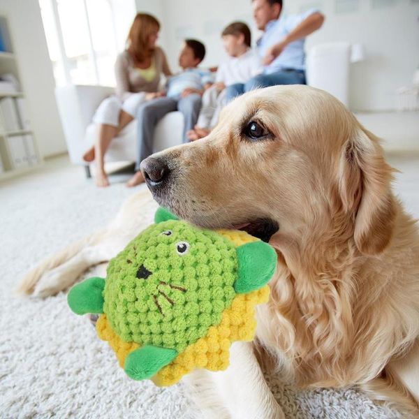 dog plush pet tpr ball toy cotton rope animal shaped squeak chew sound toys for dog cat training playing toys pet supplies
dog plush pet tpr ball toy cotton rope animal shaped squeak chew sound toys for dog cat training playing toys pet supplies