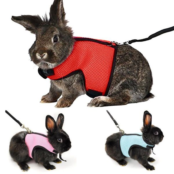 harness breathable harness leashes soft pet small leash lead for hamster rabbit guinea pig rat ferret cat 
harness breathable harness leashes soft pet small leash lead for hamster rabbit guinea pig rat ferret cat