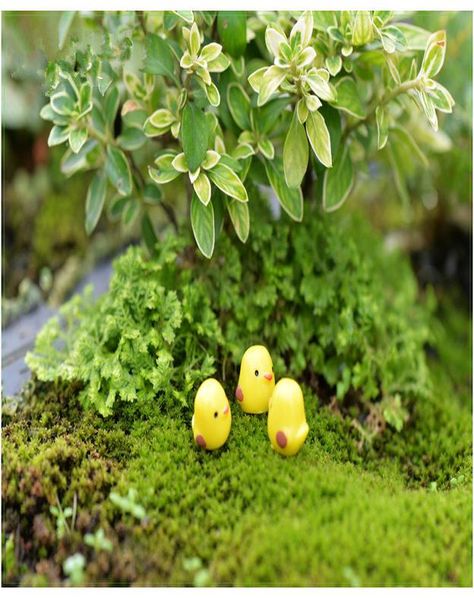 10pcs set easter party mini chicken ornament lovely resin fairy miniature garden scene home garden crafts decoration bbynuy
10pcs set easter party mini chicken ornament lovely resin fairy miniature garden scene home garden crafts decoration bbynuy