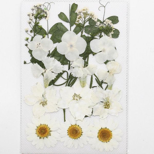 1bag dried flowers uv resin decorative natural floral flower stickers 3d beauty nail art decals epoxy mold diy filling jewelry h qylsuc
1bag dried flowers uv resin decorative natural floral flower stickers 3d beauty nail art decals epoxy mold diy filling jewelry h qylsuc