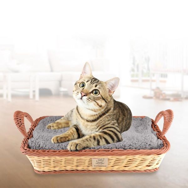 cat beds & furniture bed breathable pet basket nest rectangle pp knitted with plush blanket for cats dogs pets 38 * 26.5 8cm
cat beds & furniture bed breathable pet basket nest rectangle pp knitted with plush blanket for cats dogs pets 38 * 26.5 8cm