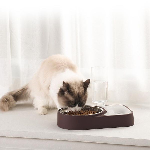 pet cat dog feeder с двойной миской, кормления автоматической питья из нержавеющей стали кормление чаши бассейна домашних животных собак доз
pet cat dog feeder с двойной миской, кормления автоматической питья из нержавеющей стали кормление чаши бассейна домашних животных собак доз
