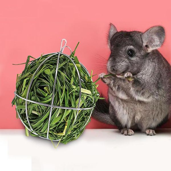 small pet rabbit toys stainless steel round sphere feed dispense exercise hanging hay ball hamster rabbit guinea pig bbycir
small pet rabbit toys stainless steel round sphere feed dispense exercise hanging hay ball hamster rabbit guinea pig bbycir