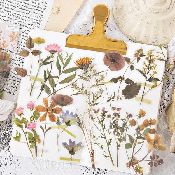 6kinds pet transparent flower waterproof sticker diy scrapbooking mobile phone diary happy planner decoration sticker
6kinds pet transparent flower waterproof sticker diy scrapbooking mobile phone diary happy planner decoration sticker