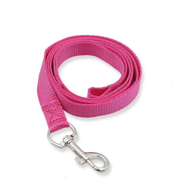 factory price puppy nylon training 1.5*120cm walking adjustable cat dog solid color durable strong leashes
factory price puppy nylon training 1.5*120cm walking adjustable cat dog solid color durable strong leashes