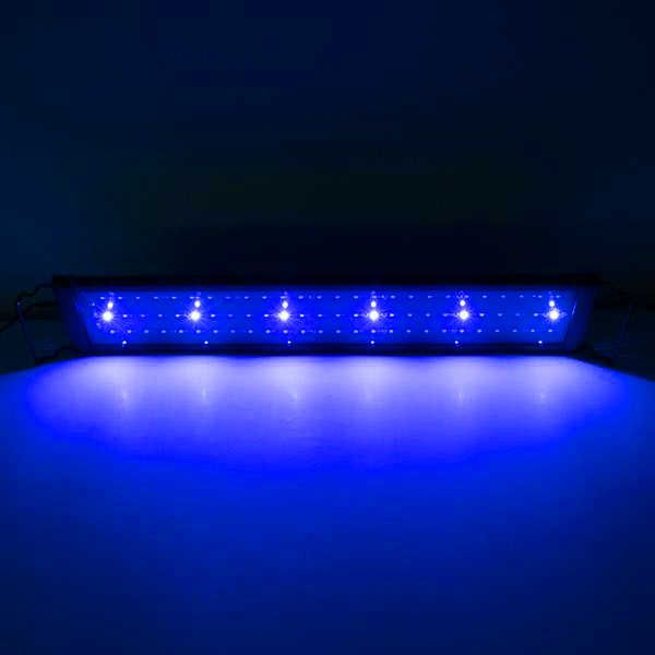 selling 15w 48led full spectrum aquarium lights sea coral lamp 23.6inch black (suitable for 23.6-31.49inch long aquarium)
selling 15w 48led full spectrum aquarium lights sea coral lamp 23.6inch black (suitable for 23.6-31.49inch long aquarium)