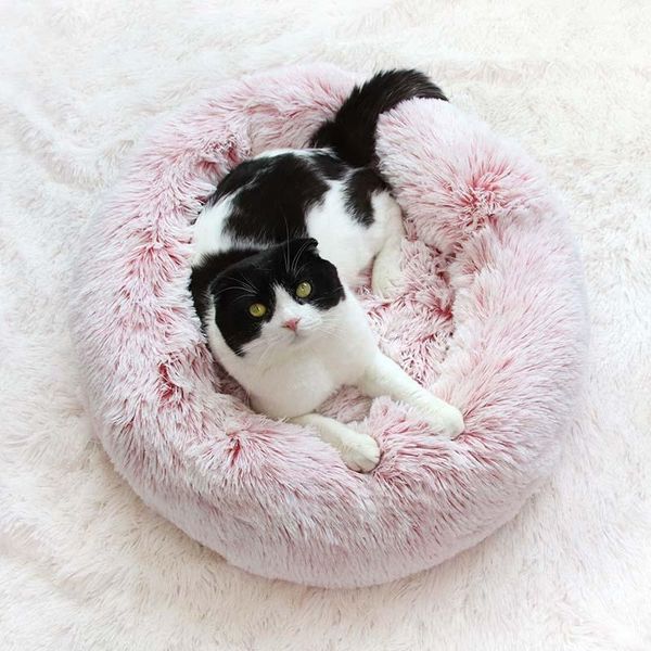cat beds & furniture round warm fleece nest bed large dogs sleeper bedding sofa puppy pet rest mattress pad1
cat beds & furniture round warm fleece nest bed large dogs sleeper bedding sofa puppy pet rest mattress pad1