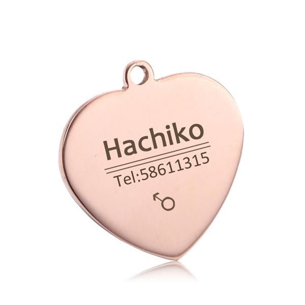 yvyoo dog collar stainless steel dog cat tag engraving pet dog collar accessories id tag name telephone personalized b03 q wmtaqx
yvyoo dog collar stainless steel dog cat tag engraving pet dog collar accessories id tag name telephone personalized b03 q wmtaqx