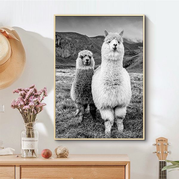 черный и белый животных альпака плакат на холсте картина отпечатки wall art детская фотография llama детская комната декор современный миним
черный и белый животных альпака плакат на холсте картина отпечатки wall art детская фотография llama детская комната декор современный миним
