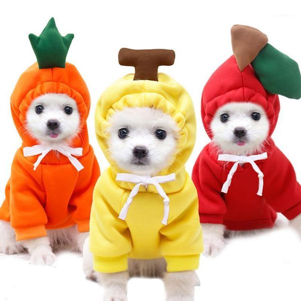 dog apparel cute fruit pet costume for small dogs winter puppy cat hoodie pomeranian yorkies sweatshirt mascotas clothes ropa de perro1
dog apparel cute fruit pet costume for small dogs winter puppy cat hoodie pomeranian yorkies sweatshirt mascotas clothes ropa de perro1